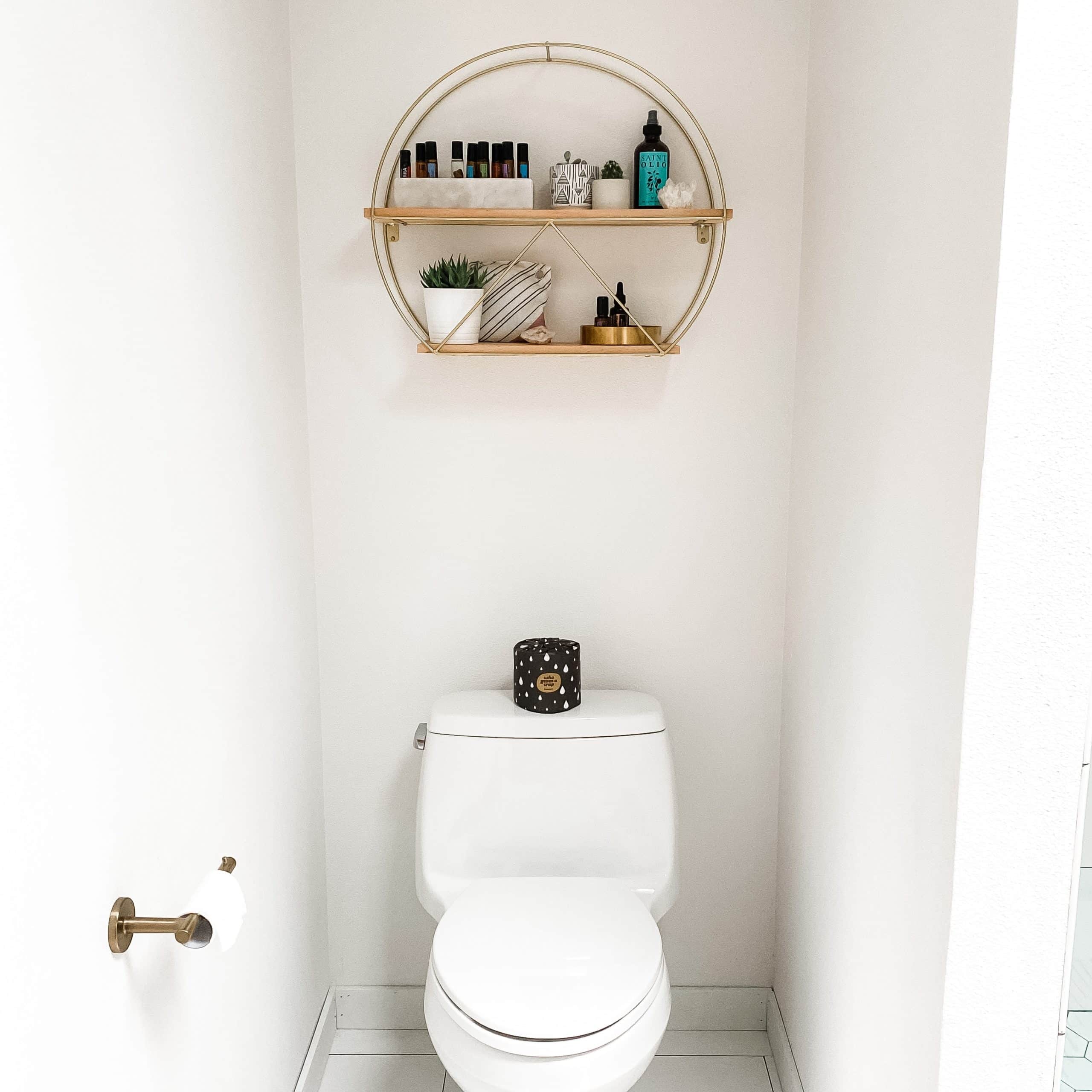 Professional toilet leak repair