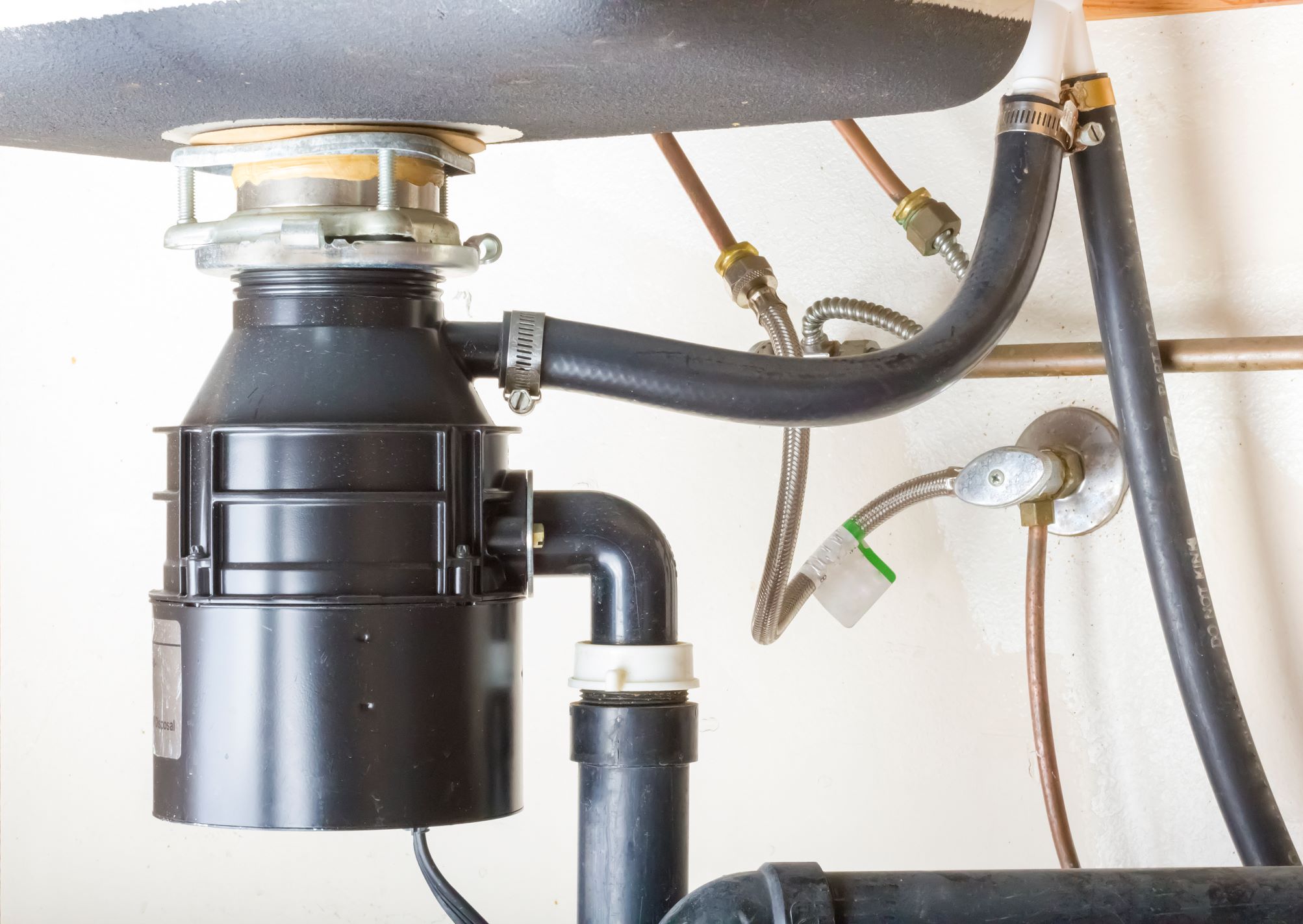 Garbage disposal service in Charleston