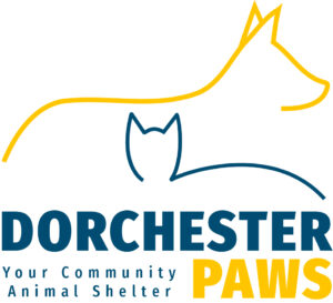 Dorchester logo