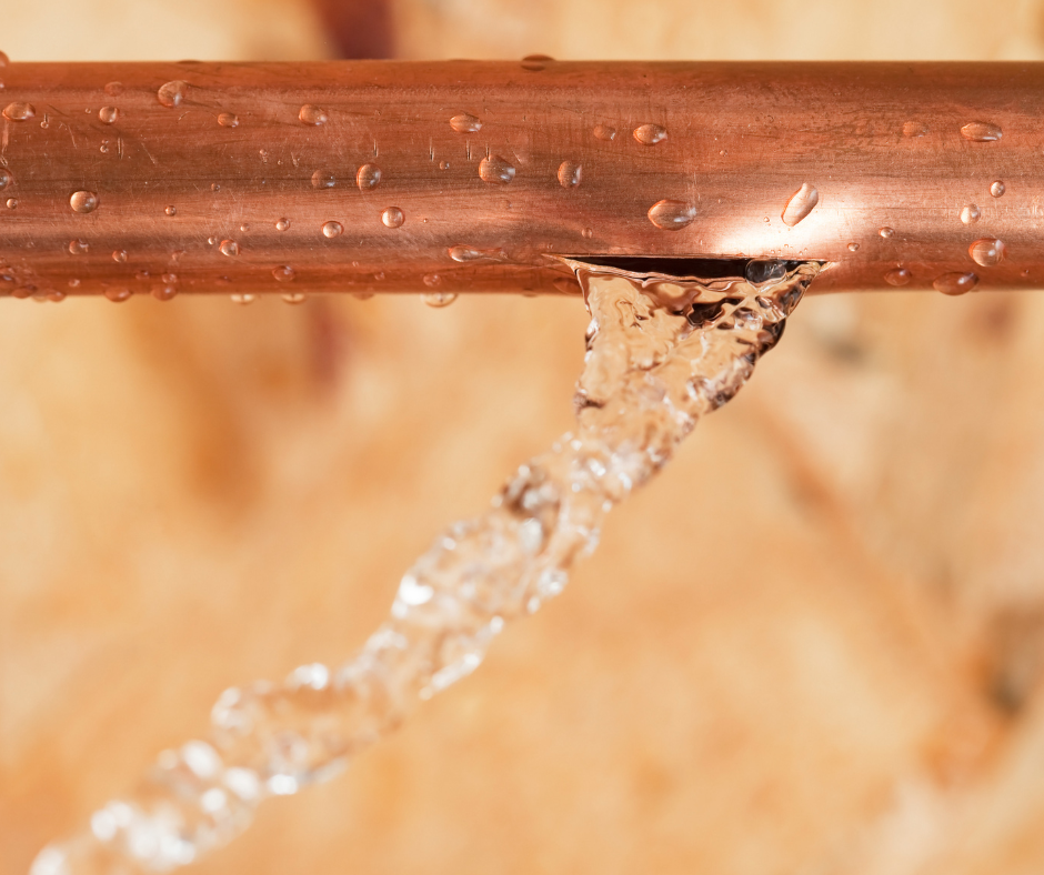 Plumbing services in South Carolina
