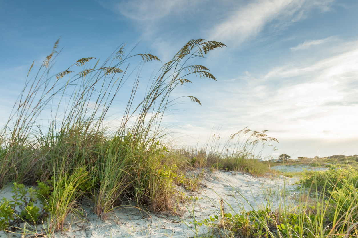 Carolina Beach Coast